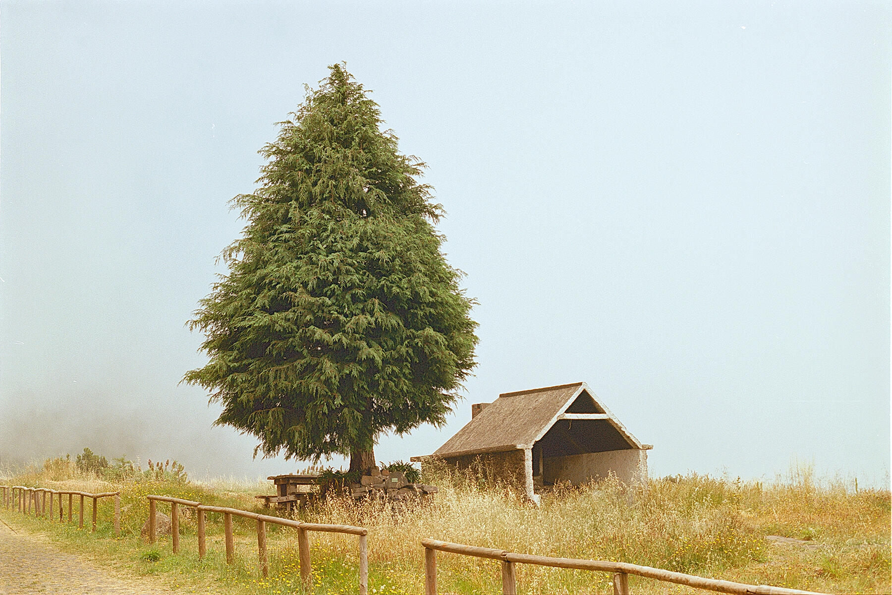 The Old Shelter Miradouro do Pico Alto, Madeira Kodak Ektar 100